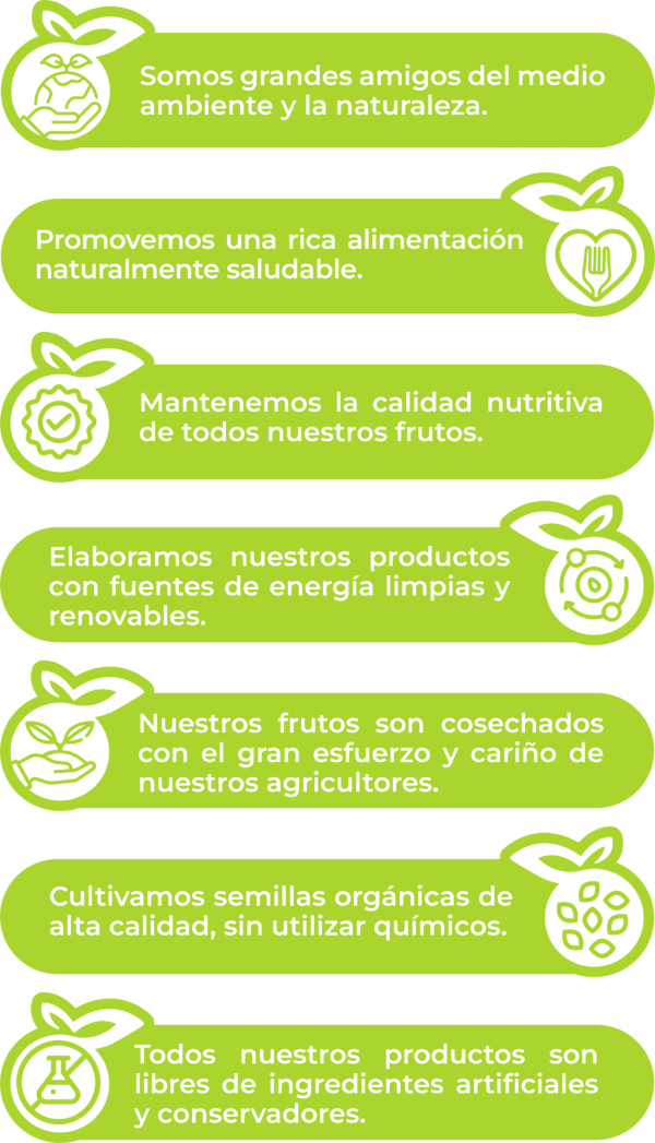 Infografía Aires del Pedregal