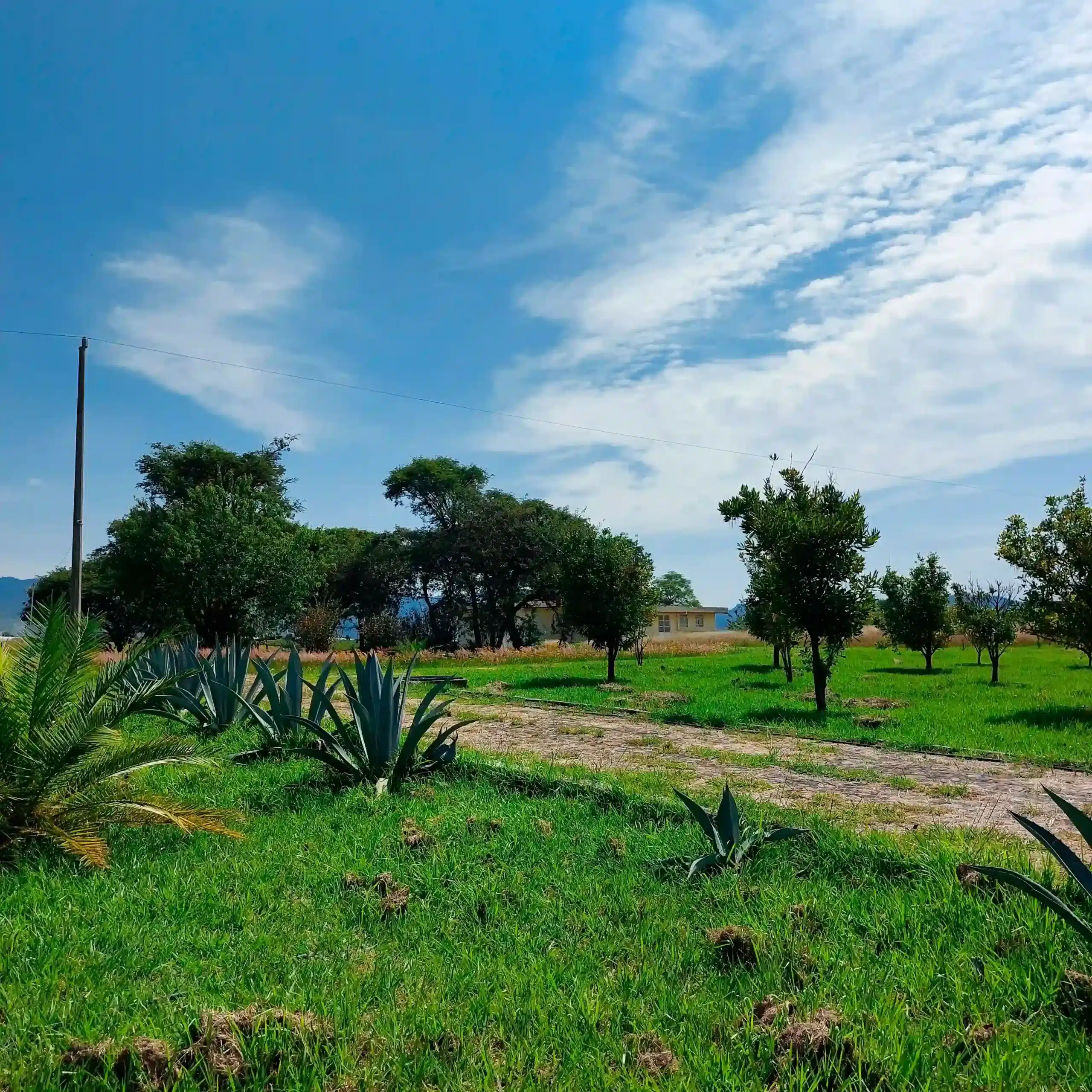 Rancho Aires del Pedregal